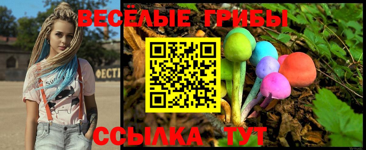 Кудымкар  Галлюциногенные грибы Cubensis  Вход с VPN  Галлюциногенные грибы мухоморы 