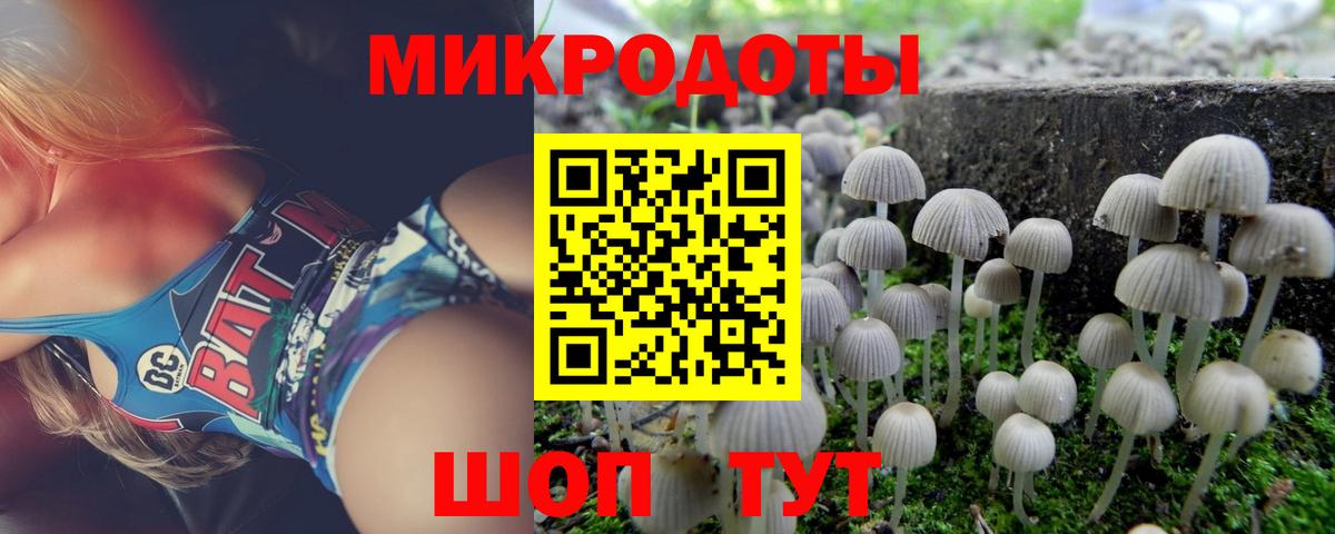 Галлюциногенные грибы MAGIC MUSHROOMS Кудымкар